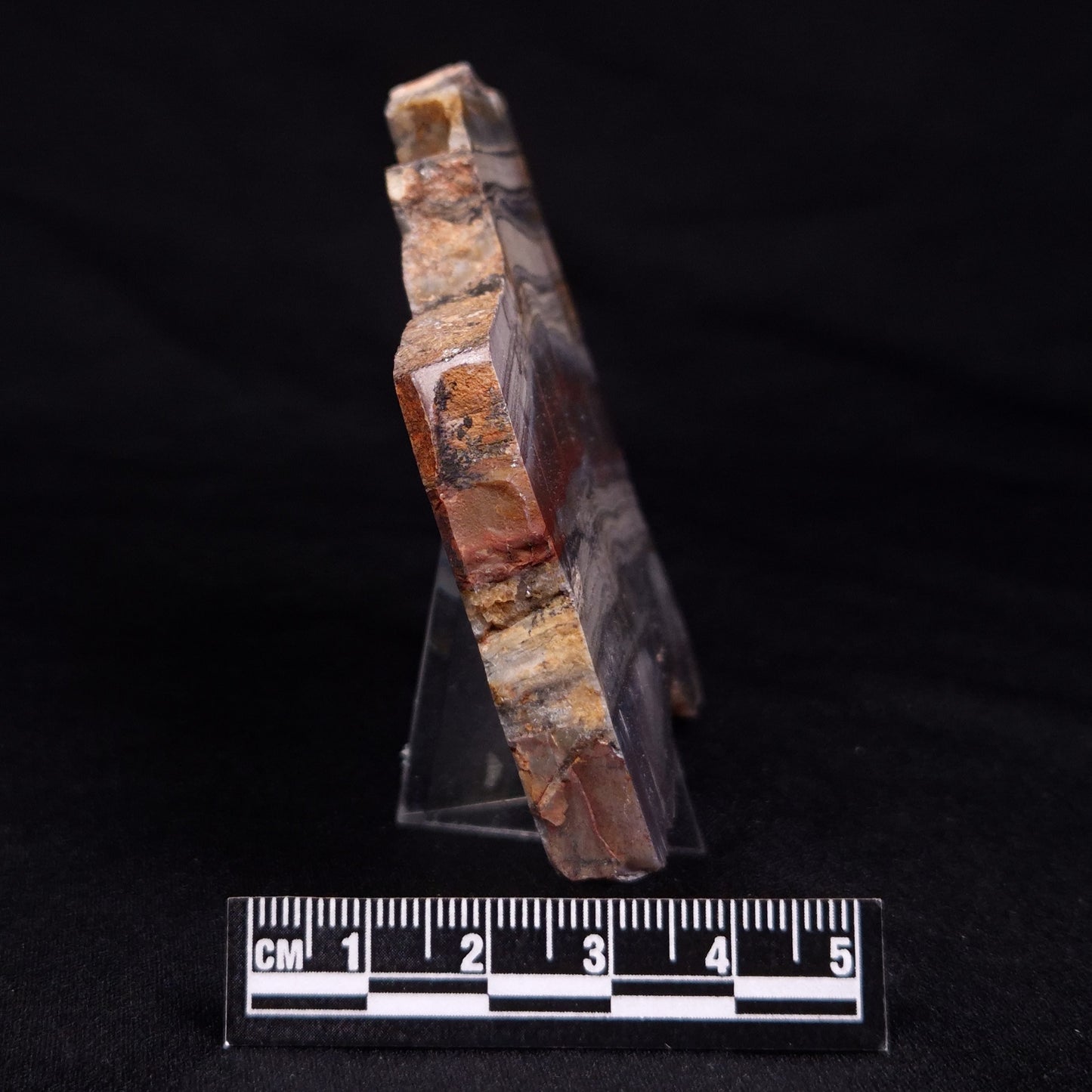 STROMATOLITE, Jerrinah Formation, Proterozoic, Australia ZJF059