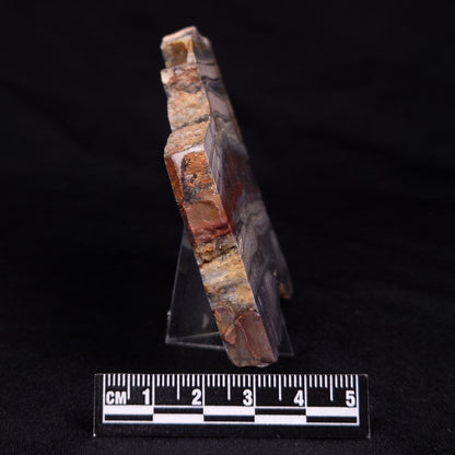 STROMATOLITE, Jerrinah Formation, Proterozoic, Australia ZJF059