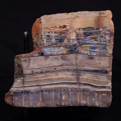 STROMATOLITE, Jerrinah Formation, Proterozoic, Australia ZJF060