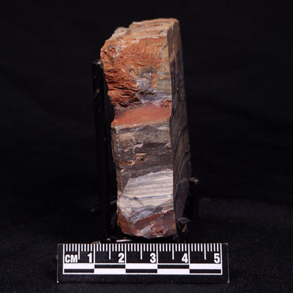 STROMATOLITE, Jerrinah Formation, Proterozoic, Australia ZJF060