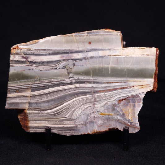 STROMATOLITE, Jerrinah Formation, Proterozoic, Australia ZJF061
