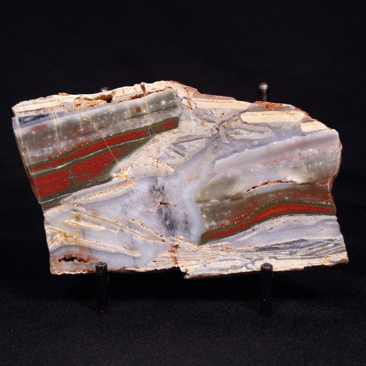 STROMATOLITE, Jerrinah Formation, Proterozoic, Australia ZJF062