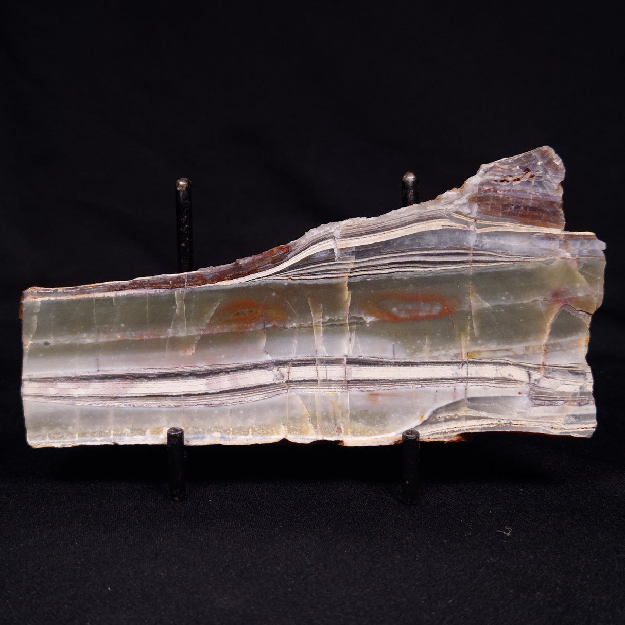STROMATOLITE, Jerrinah Formation, Proterozoic, Australia ZJF063