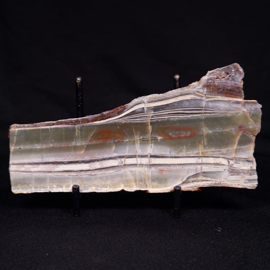 STROMATOLITE, Jerrinah Formation, Proterozoic, Australia ZJF063