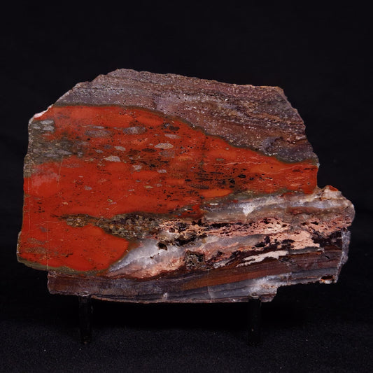 STROMATOLITE, Jerrinah Formation, Proterozoic, Australia ZJF064