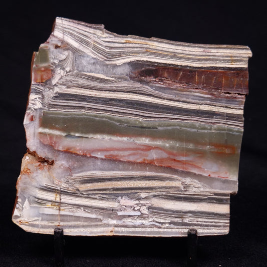 STROMATOLITE, Jerrinah Formation, Proterozoic, Australia ZJF065