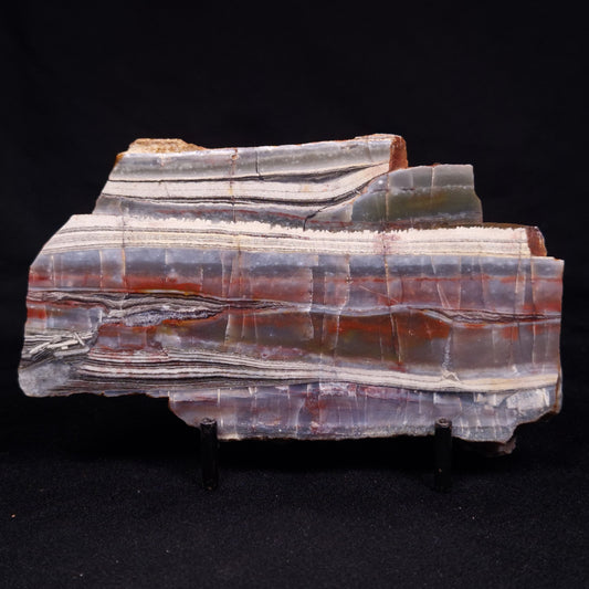 STROMATOLITE, Jerrinah Formation, Proterozoic, Australia ZJF066