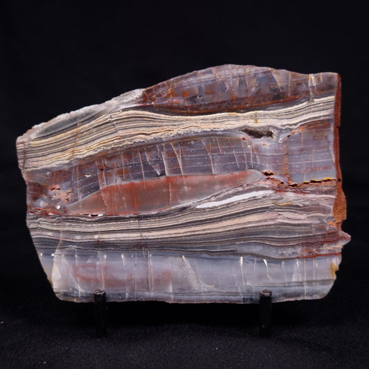 STROMATOLITE, Jerrinah Formation, Proterozoic, Australia ZJF067