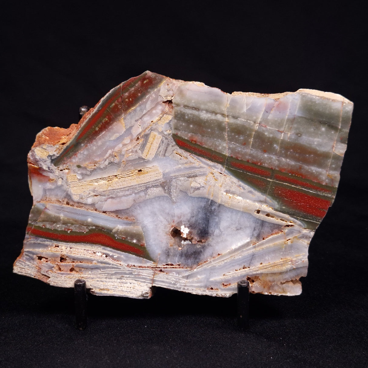 STROMATOLITE, Jerrinah Formation, Proterozoic, Australia ZJF068