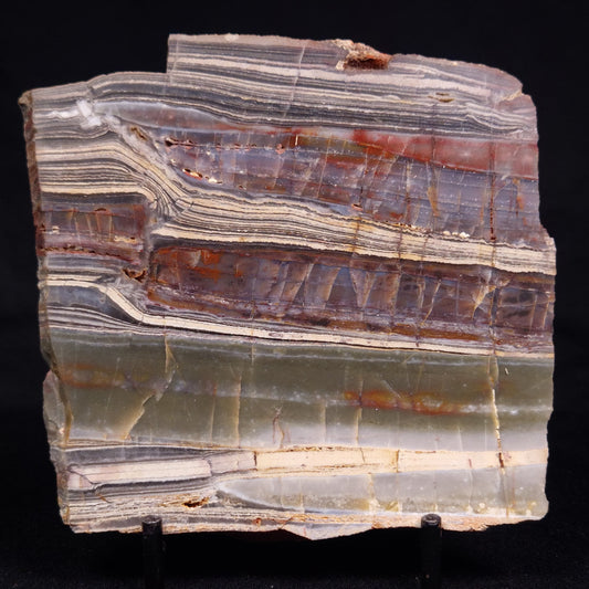 STROMATOLITE, Jerrinah Formation, Proterozoic, Australia ZJF069
