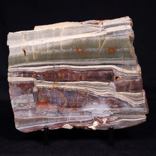 STROMATOLITE, Jerrinah Formation, Proterozoic, Australia ZJF070