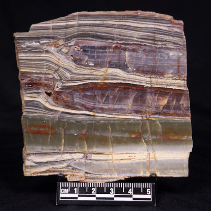 STROMATOLITE, Jerrinah Formation, Proterozoic, Australia ZJF073