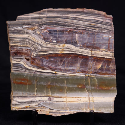 STROMATOLITE, Jerrinah Formation, Proterozoic, Australia ZJF073
