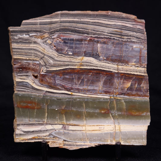 STROMATOLITE, Jerrinah Formation, Proterozoic, Australia ZJF073