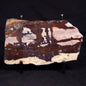 STROMATOLITE, Jerrinah Formation, Proterozoic, Australia ZJF074