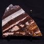 STROMATOLITE, Jerrinah Formation, Proterozoic, Australia ZJF075