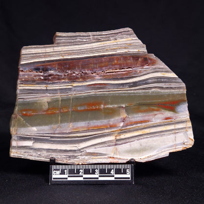 STROMATOLITE, Jerrinah Formation, Proterozoic, Australia ZJF077