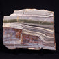 STROMATOLITE, Jerrinah Formation, Proterozoic, Australia ZJF078