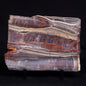 STROMATOLITE, Jerrinah Formation, Proterozoic, Australia ZJF079