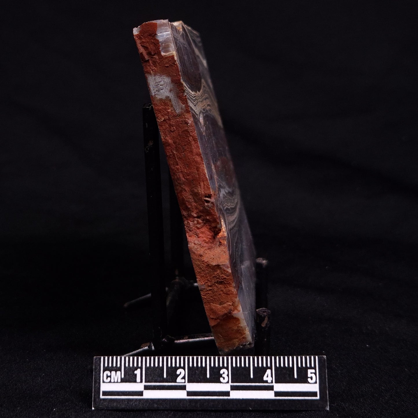 STROMATOLITE, Jerrinah Formation, Proterozoic, Australia ZJF079