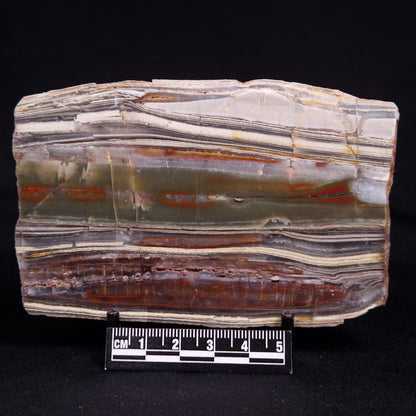 STROMATOLITE, Jerrinah Formation, Proterozoic, Australia ZJF080