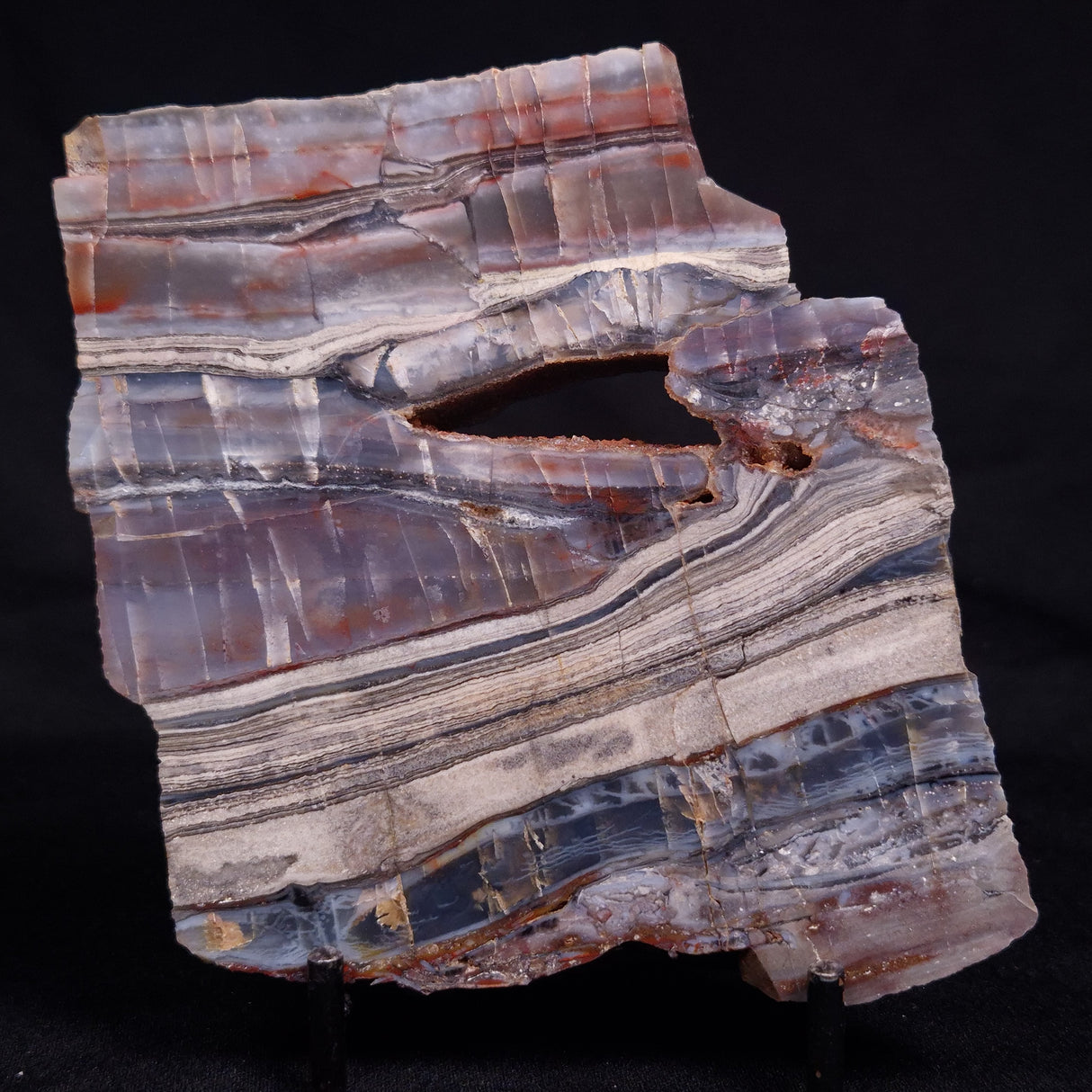 STROMATOLITE, Jerrinah Formation, Proterozoic, Australia ZJF081