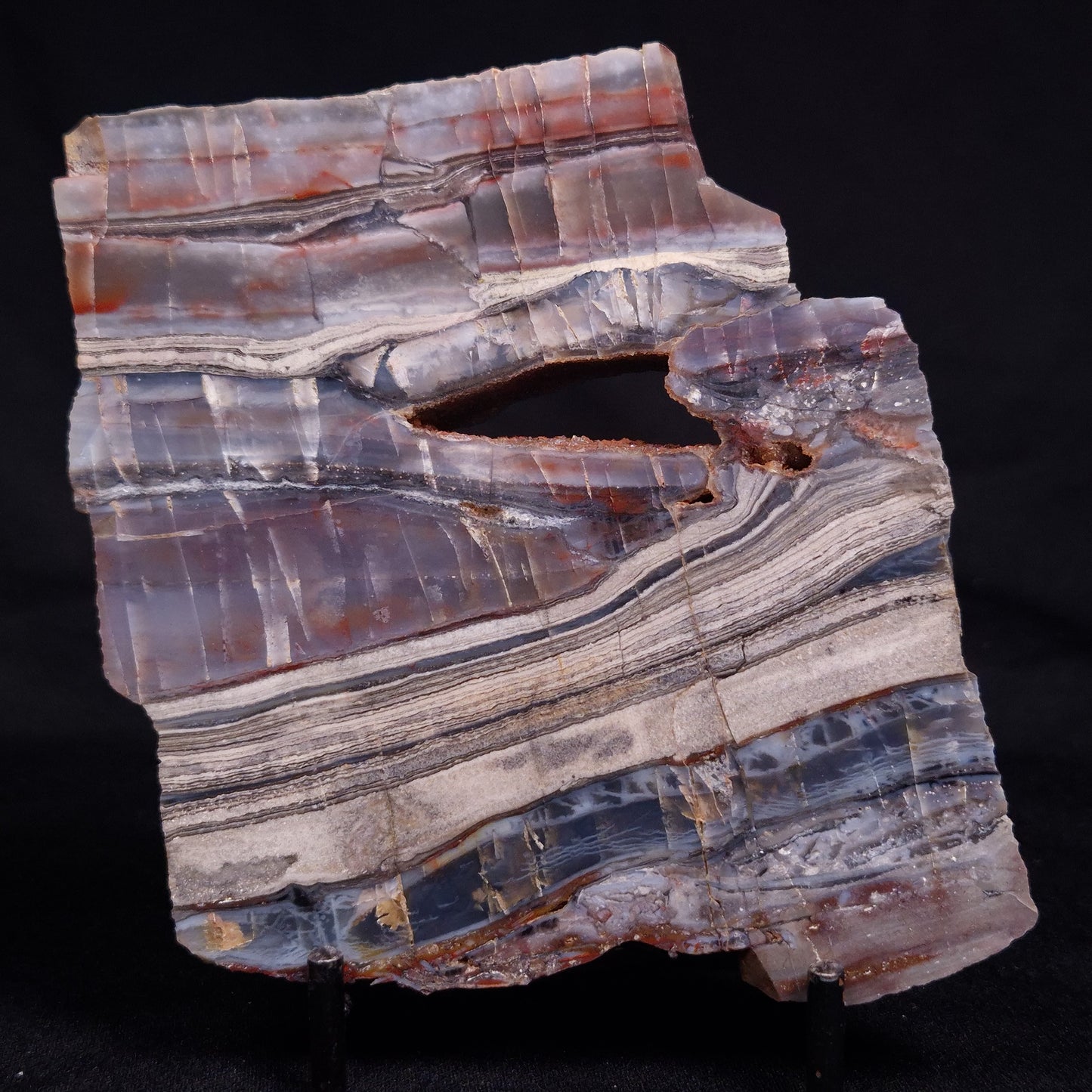STROMATOLITE, Jerrinah Formation, Proterozoic, Australia ZJF081