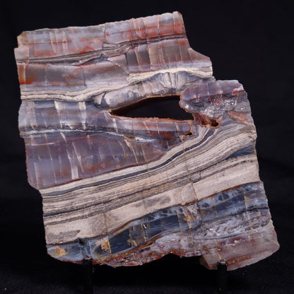 STROMATOLITE, Jerrinah Formation, Proterozoic, Australia ZJF081