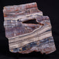 STROMATOLITE, Jerrinah Formation, Proterozoic, Australia ZJF081
