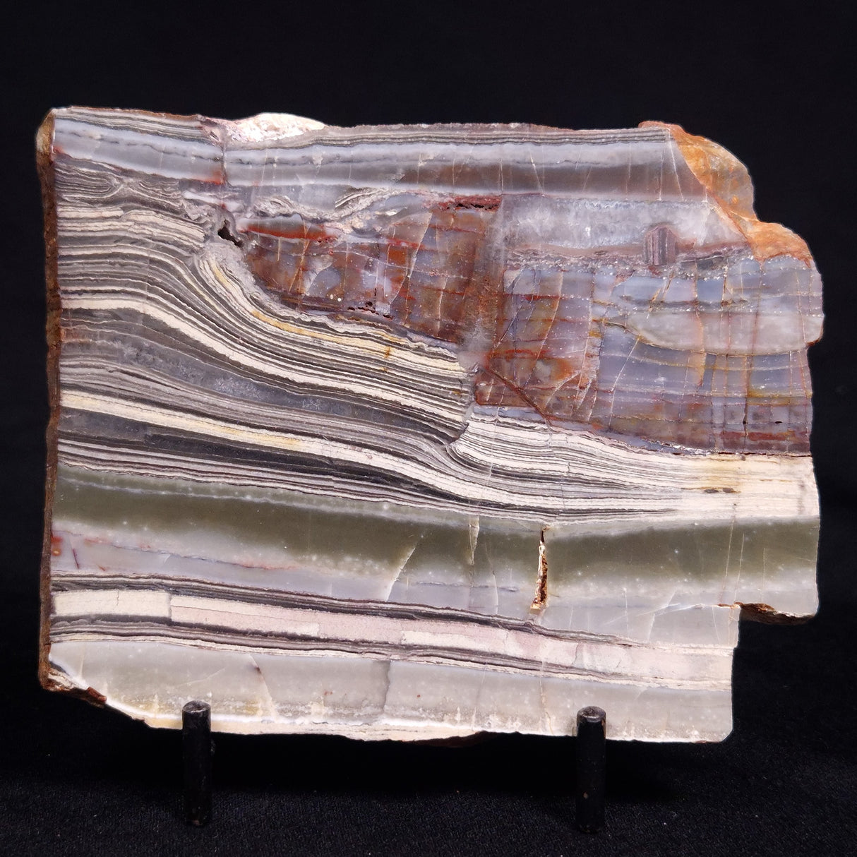STROMATOLITE, Jerrinah Formation, Proterozoic, Australia ZJF082