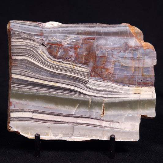 STROMATOLITE, Jerrinah Formation, Proterozoic, Australia ZJF082