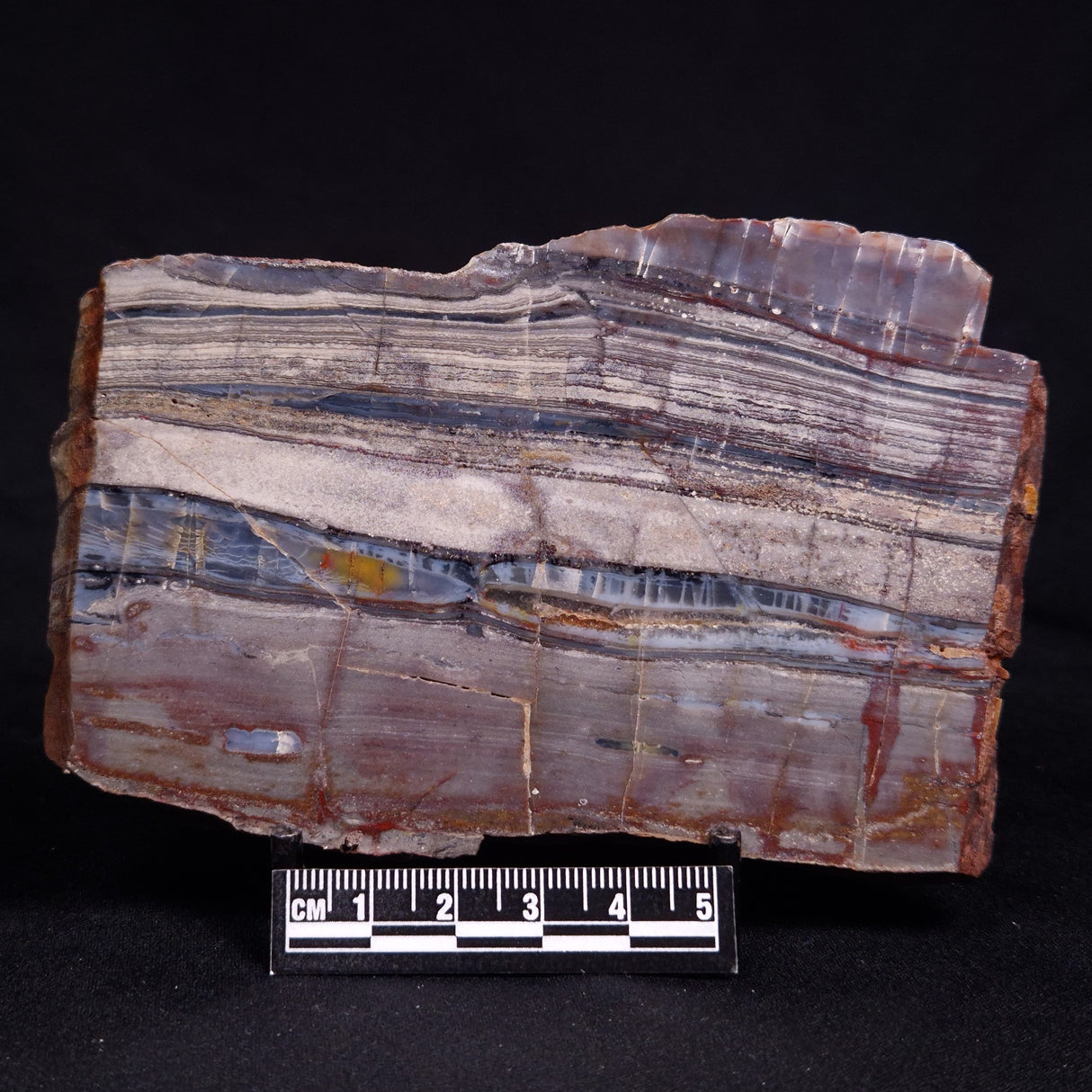 STROMATOLITE, Jerrinah Formation, Proterozoic, Australia ZJF083