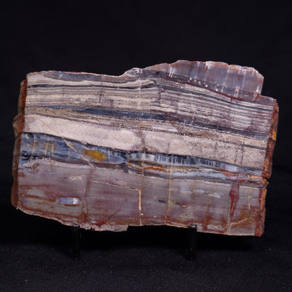 STROMATOLITE, Jerrinah Formation, Proterozoic, Australia ZJF083