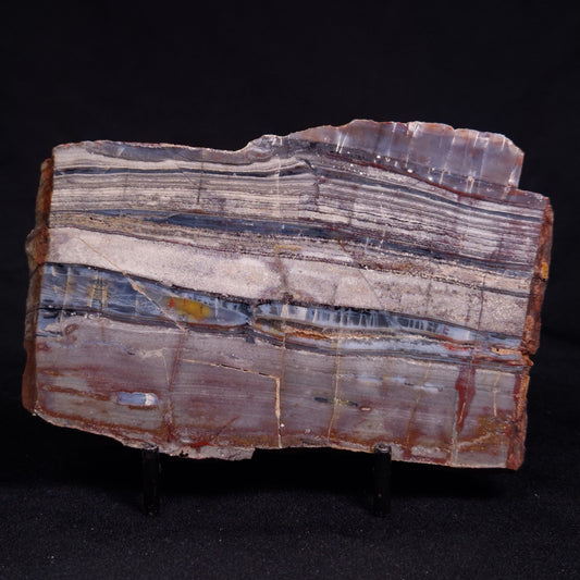 STROMATOLITE, Jerrinah Formation, Proterozoic, Australia ZJF083