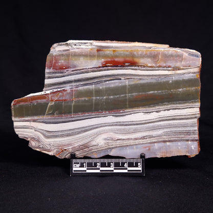 STROMATOLITE, Jerrinah Formation, Proterozoic, Australia ZJF084