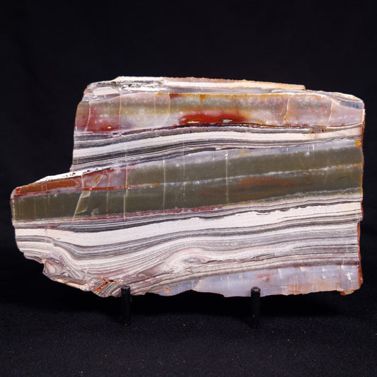 STROMATOLITE, Jerrinah Formation, Proterozoic, Australia ZJF084