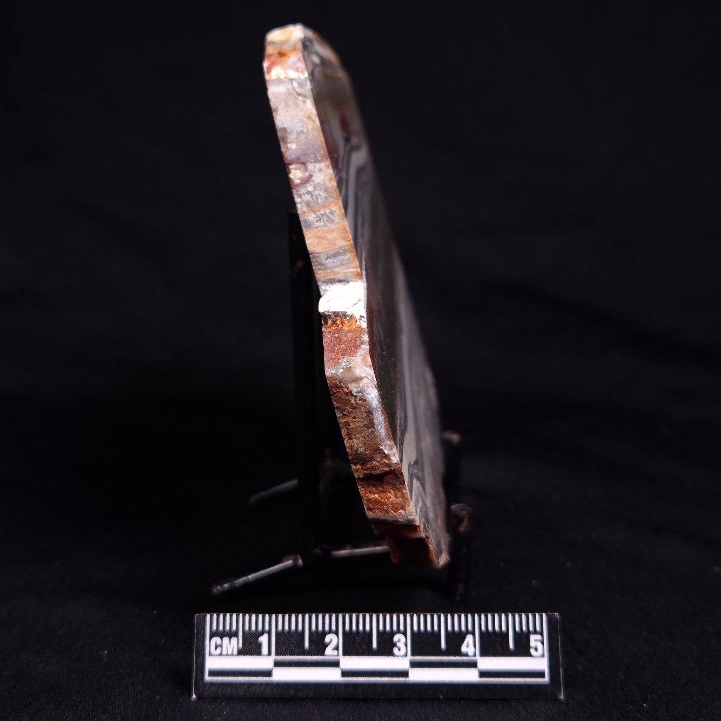 STROMATOLITE, Jerrinah Formation, Proterozoic, Australia ZJF084