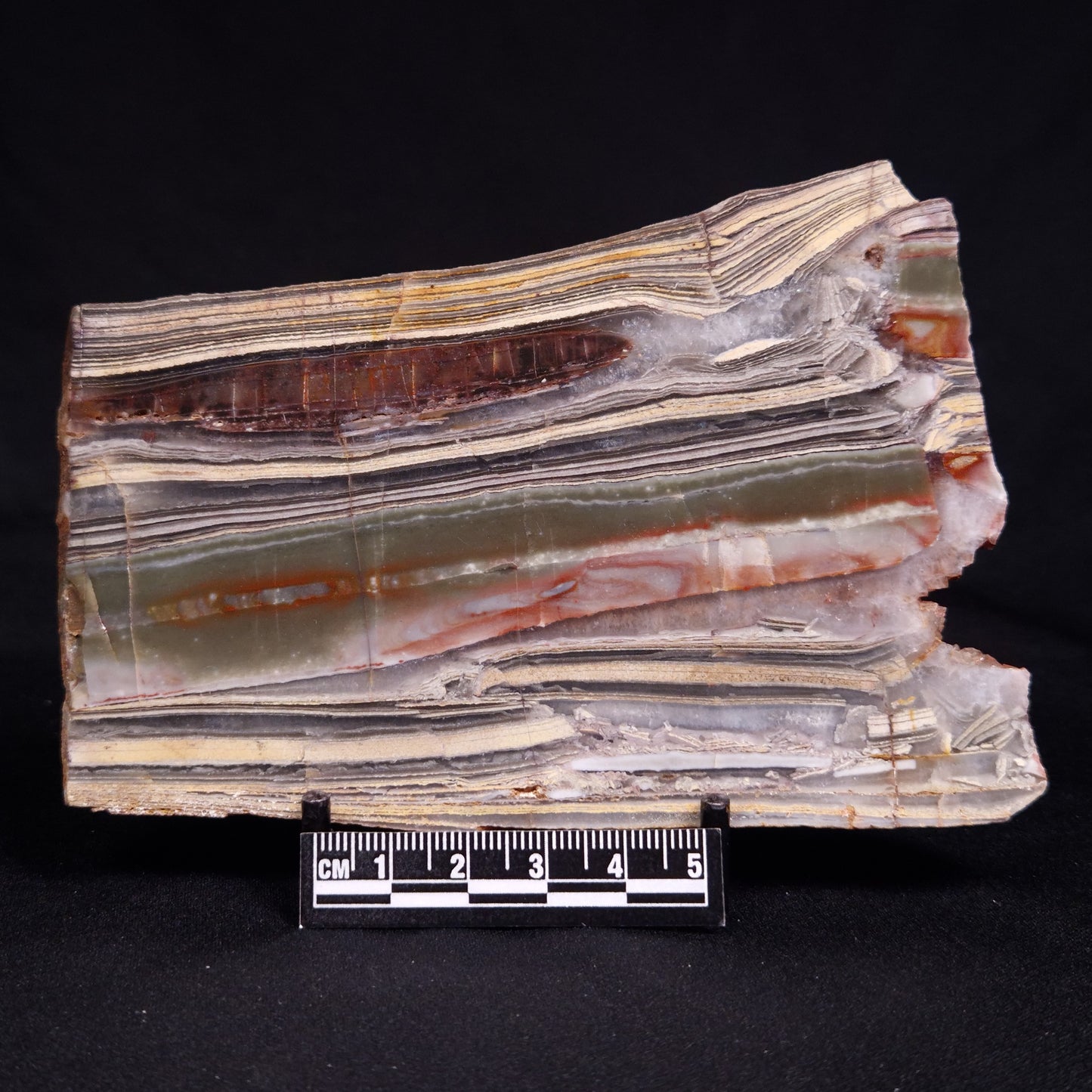 STROMATOLITE, Jerrinah Formation, Proterozoic, Australia ZJF084