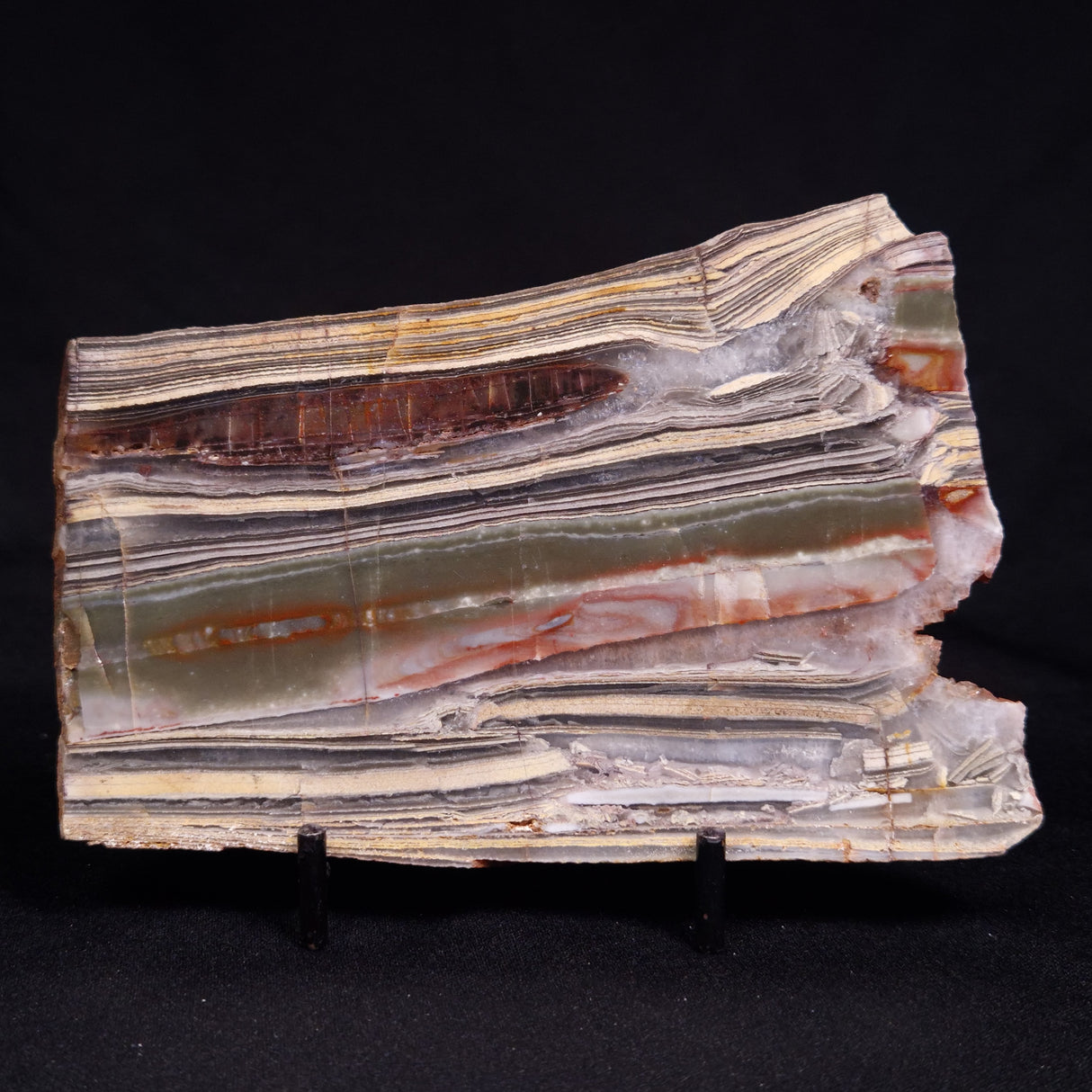 STROMATOLITE, Jerrinah Formation, Proterozoic, Australia ZJF085