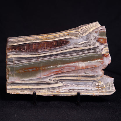STROMATOLITE, Jerrinah Formation, Proterozoic, Australia ZJF085