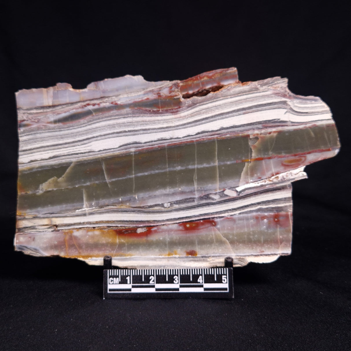 STROMATOLITE, Jerrinah Formation, Proterozoic, Australia ZJF086