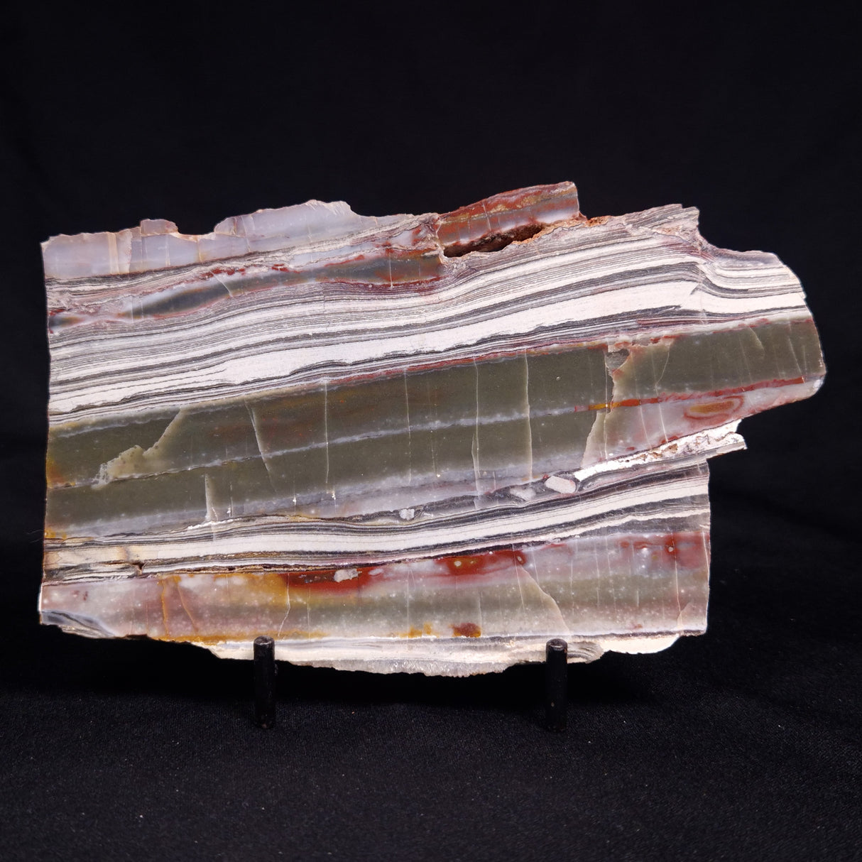 STROMATOLITE, Jerrinah Formation, Proterozoic, Australia ZJF086