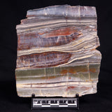 STROMATOLITE, Jerrinah Formation, Proterozoic, Australia ZJF090