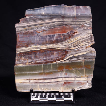 STROMATOLITE, Jerrinah Formation, Proterozoic, Australia ZJF090