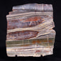 STROMATOLITE, Jerrinah Formation, Proterozoic, Australia ZJF090