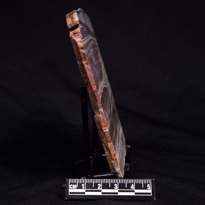 STROMATOLITE, Jerrinah Formation, Proterozoic, Australia ZJF090