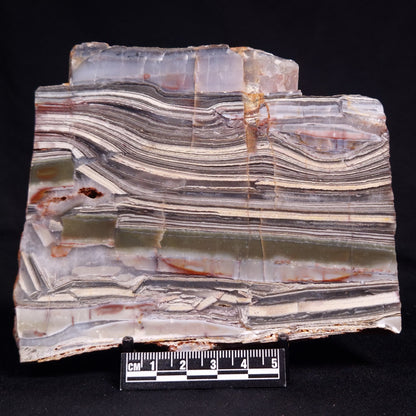STROMATOLITE, Jerrinah Formation, Proterozoic, Australia ZJF091
