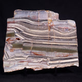 STROMATOLITE, Jerrinah Formation, Proterozoic, Australia ZJF091