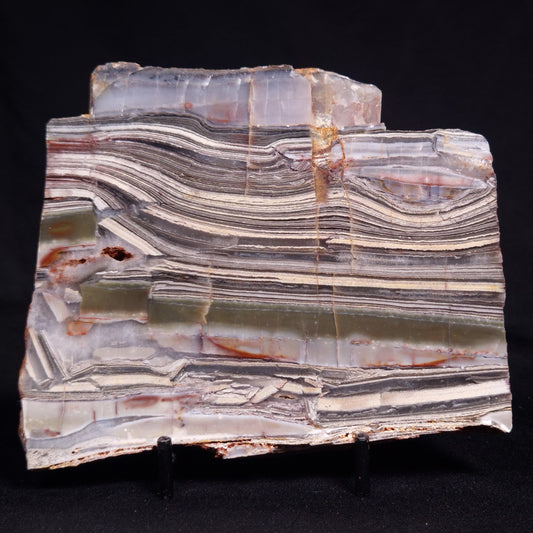 STROMATOLITE, Jerrinah Formation, Proterozoic, Australia ZJF091