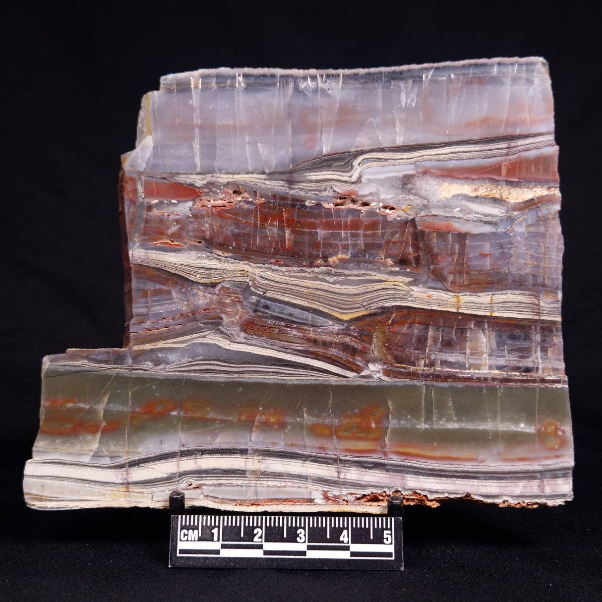 STROMATOLITE, Jerrinah Formation, Proterozoic, Australia ZJF092